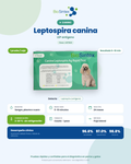 LEPTOSPIRA CANINA TEST RAPIDO LES7823