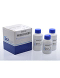 Reactivo Gamma-GT (Sobre Pedido) 1 x 250 ml QCA 991054