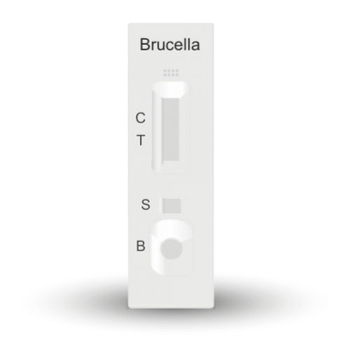 Prueba Rapida para Anticuerpos contra Brucella BRUC01